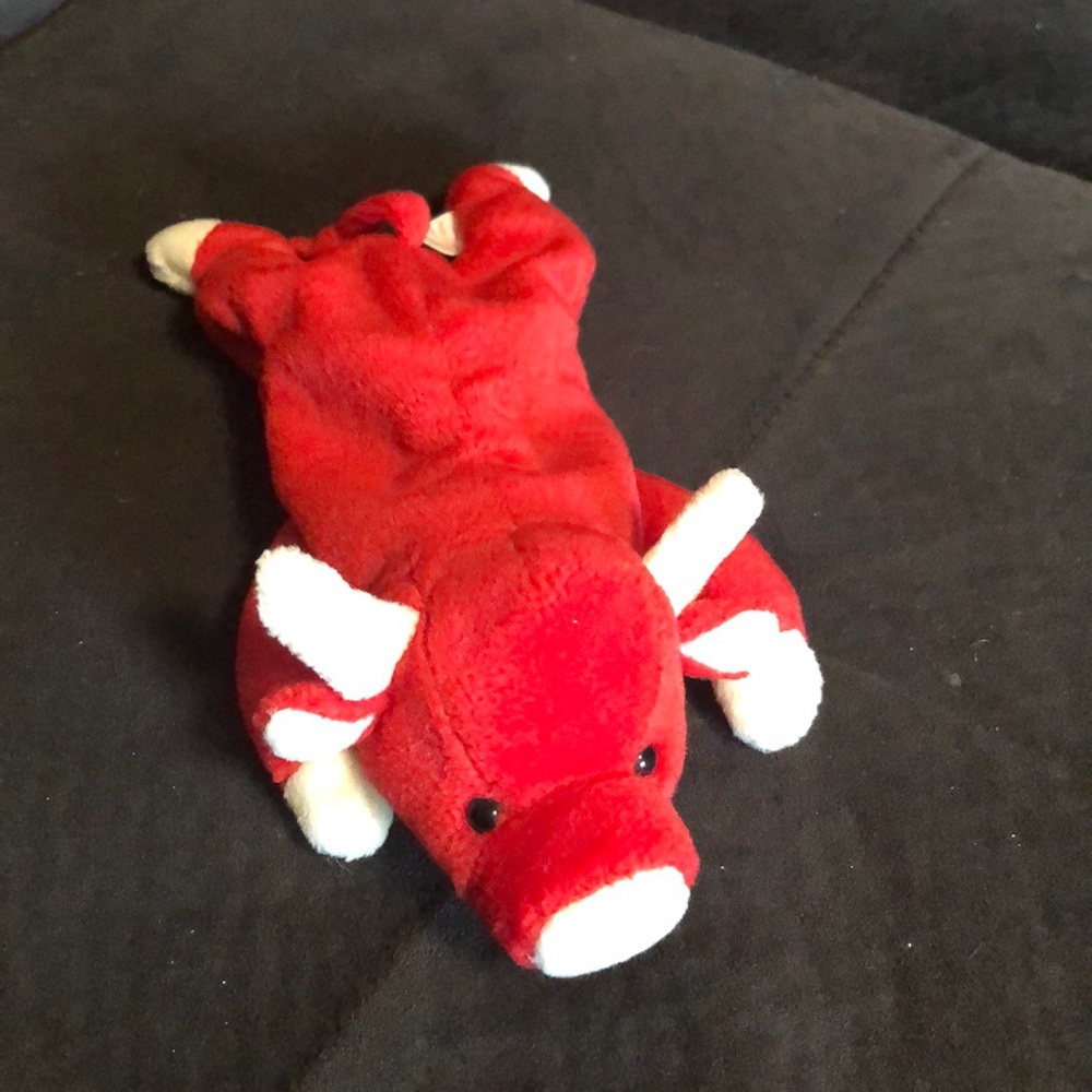 Ty snort the bull